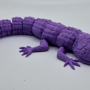 Lizard
