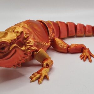 Bearded Dragon