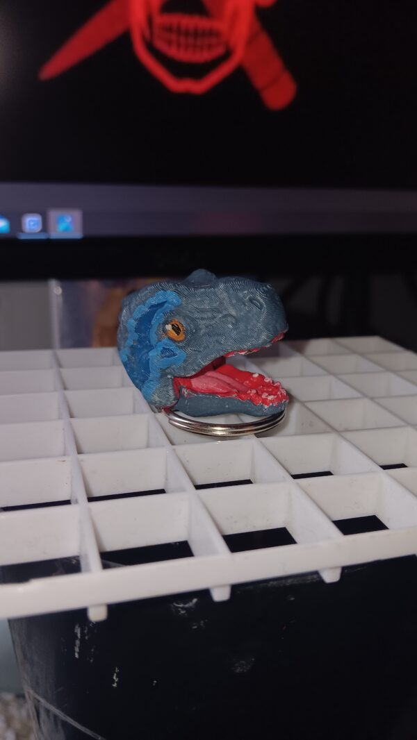 Hand painted raptor keychain