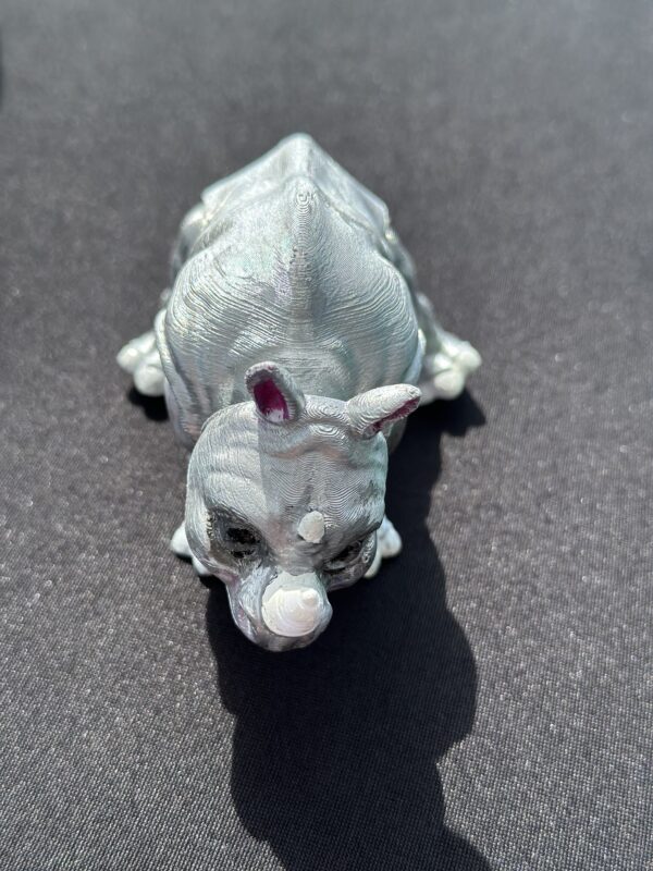 Rhino