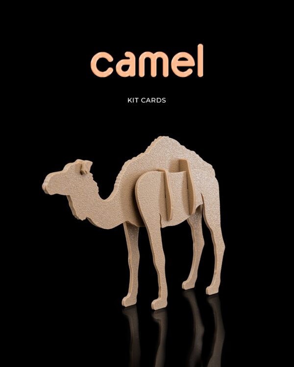 Camel Kit Card