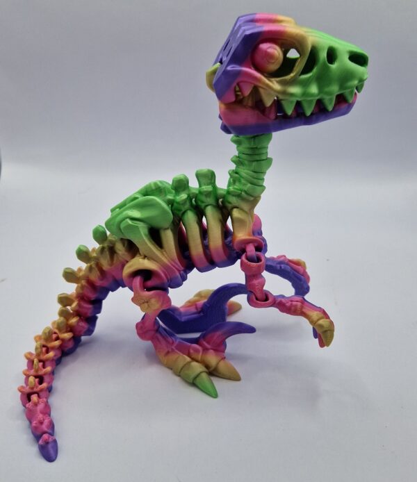Raptor Skeleton