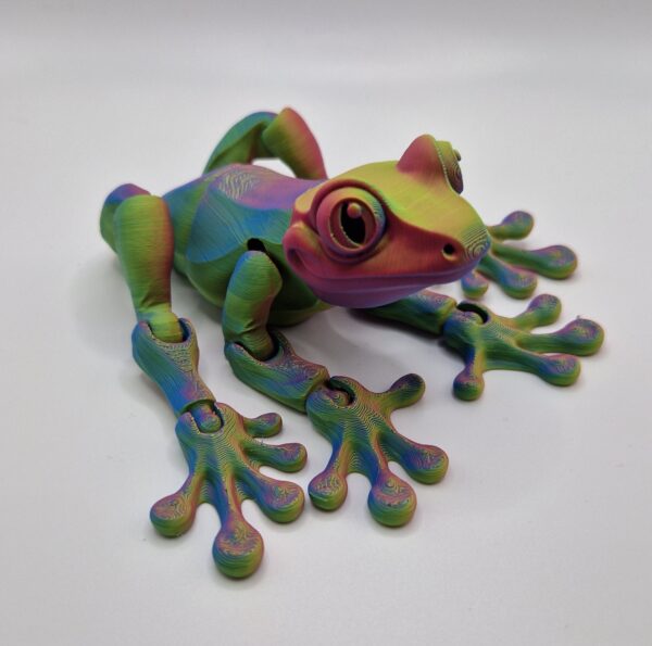 Tree Frog