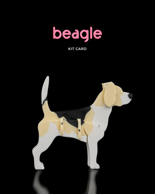 Beagle