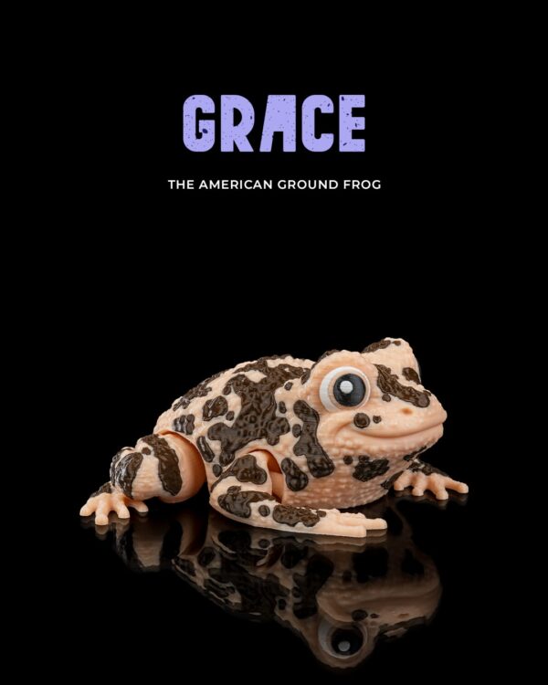 Grace, the American Ground Frog