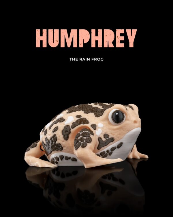 Humphrey, the Rain Frog