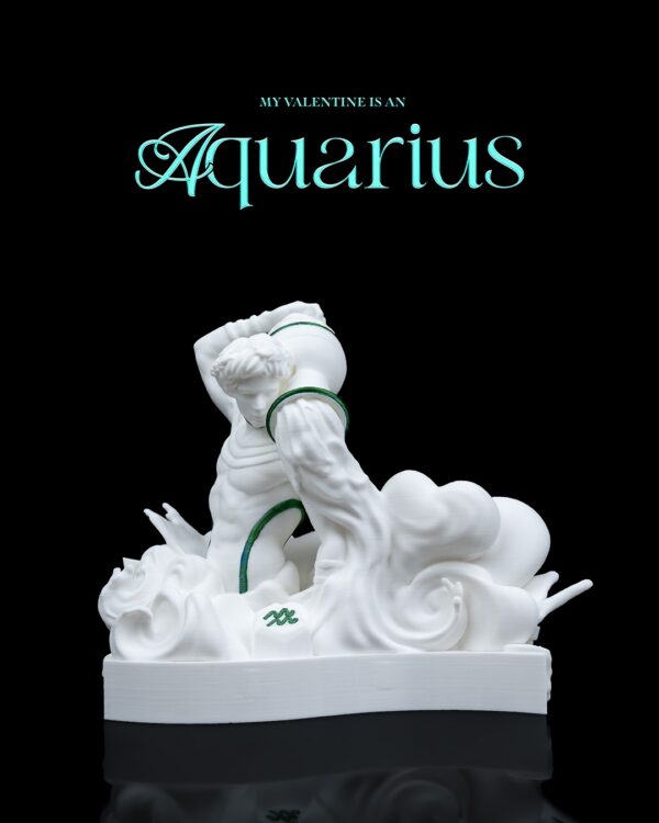 My valentine is an Aquarius