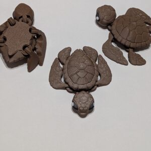 Sea Turtle