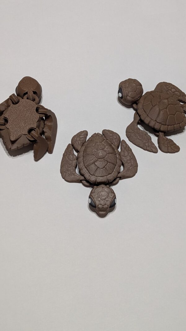 Sea Turtle