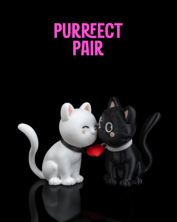 Purrfect Pair