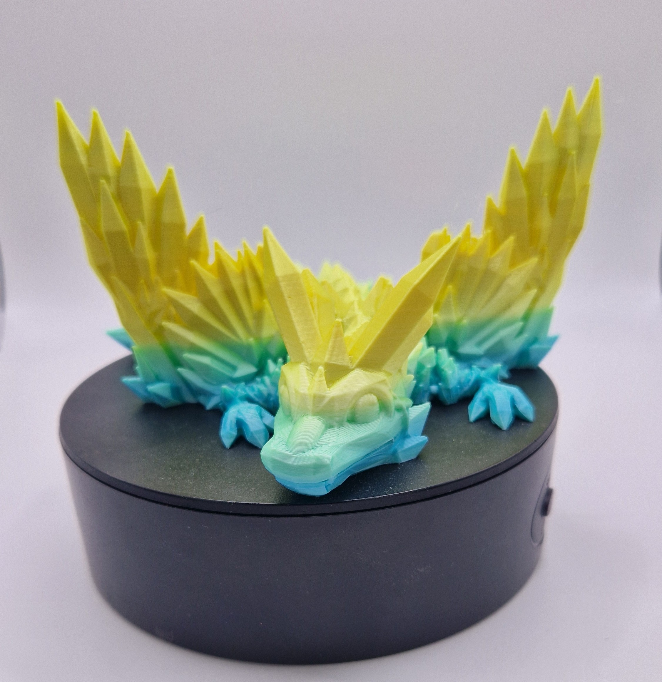 Baby Wing Dragon - Image 5