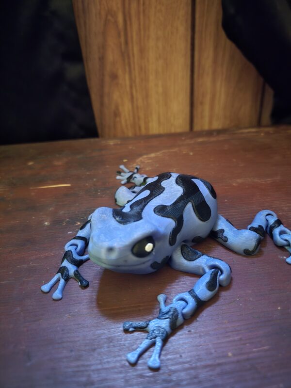 Darcy, the Poison Dart Frog