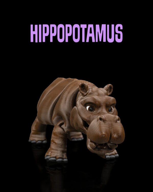Hippopotamus