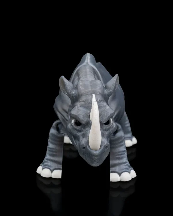 Rhinoceros