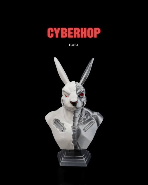 Cyberhop Bust