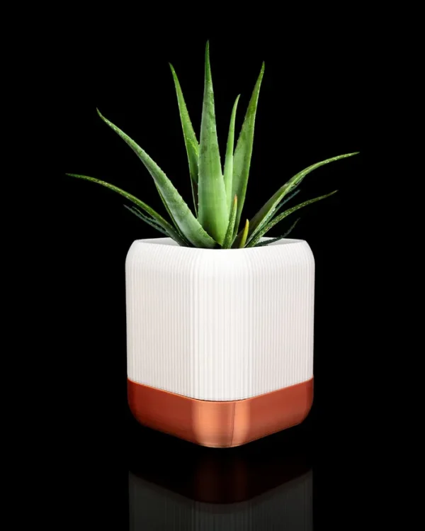 Vazo de plantas para interiores