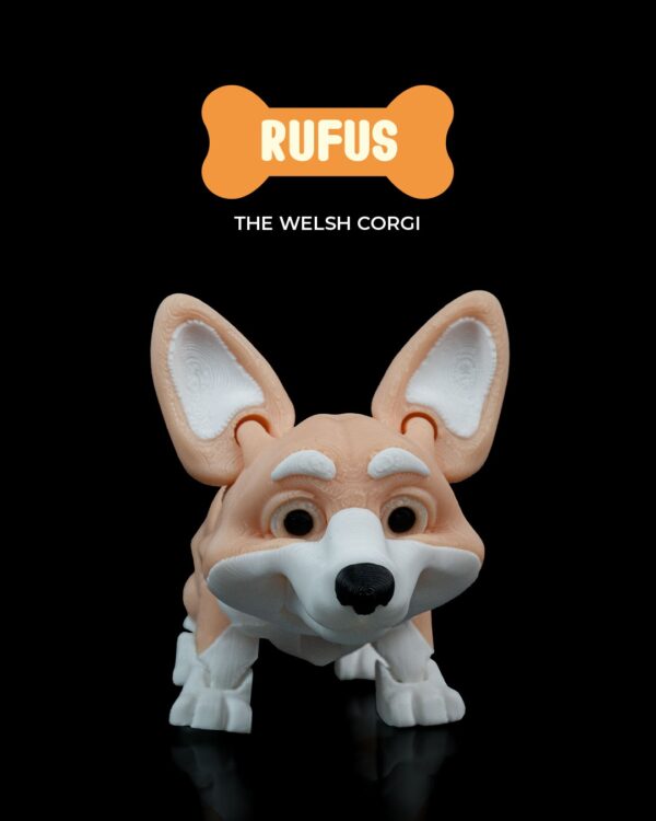 Rufus, the Welsh Corgi 