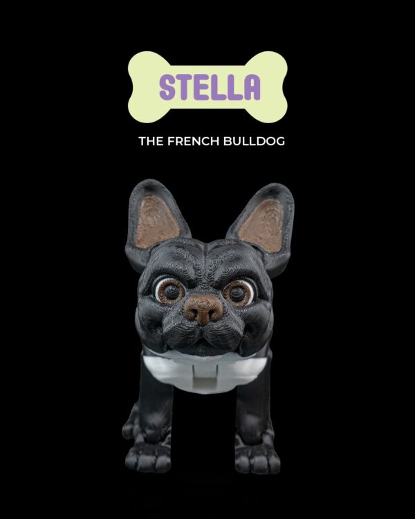 Stella, the French Bulldog