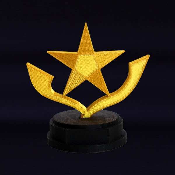 Troféu estrela personalizável - exclusivo EAGP