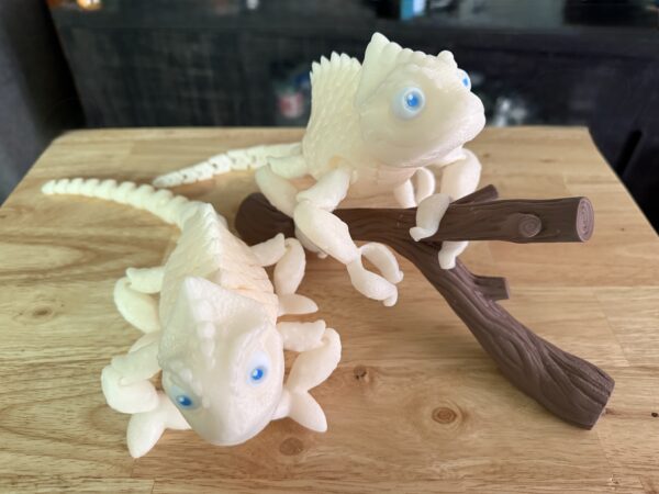 Chameleon