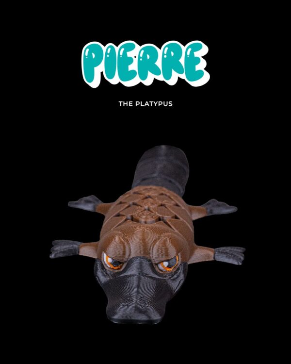 Pierre, the Platypus