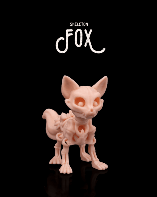 Squelette Renard / Skeleton Fox