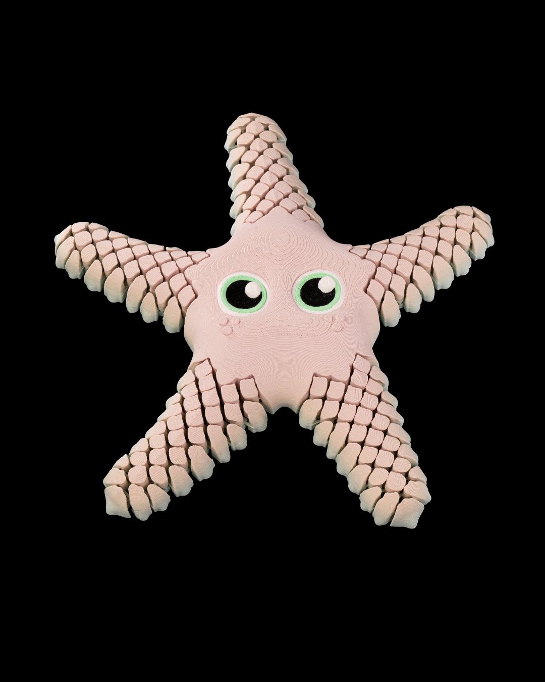 Sandy, the Sea Star - Image 6