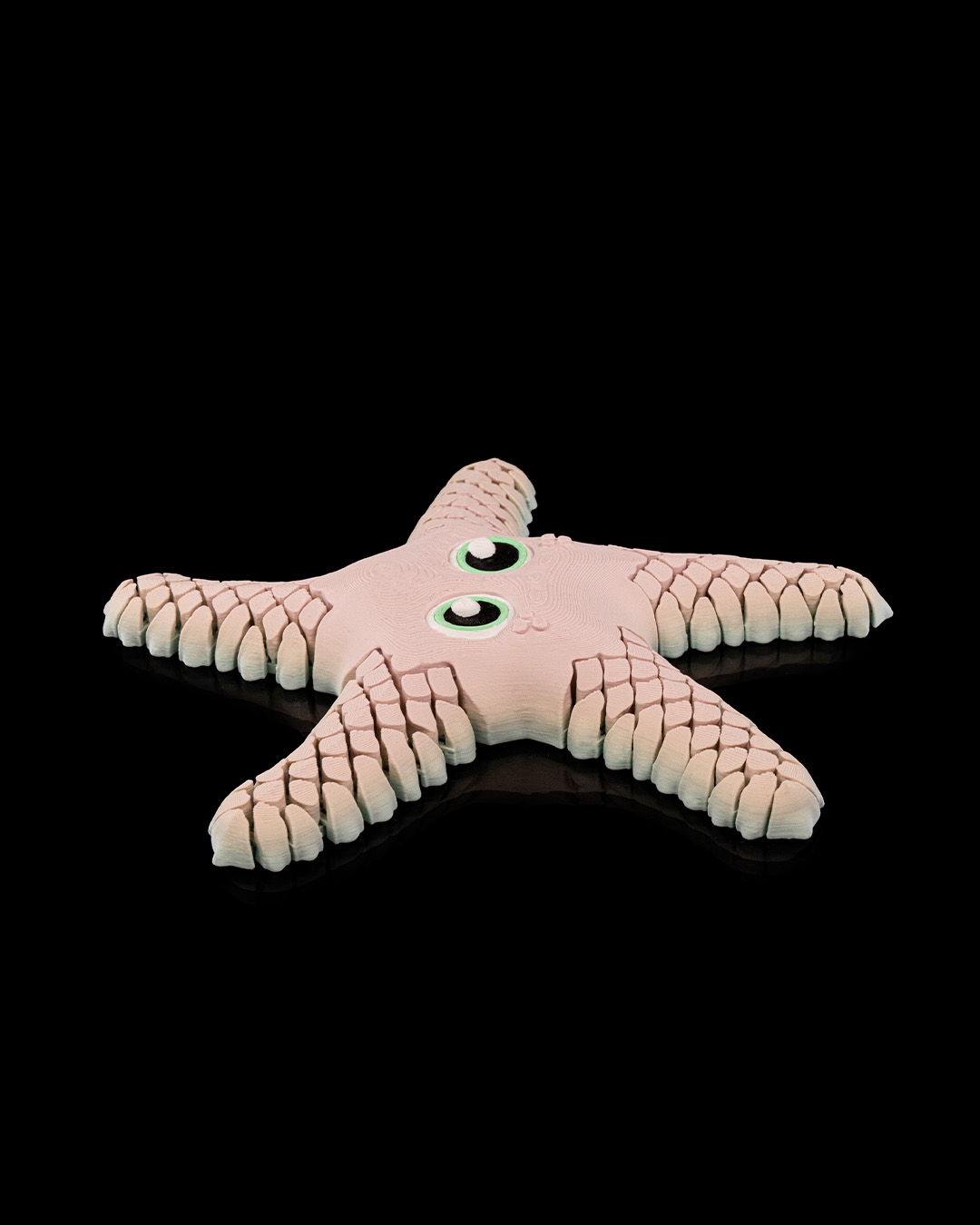 Sandy, the Sea Star - Image 5