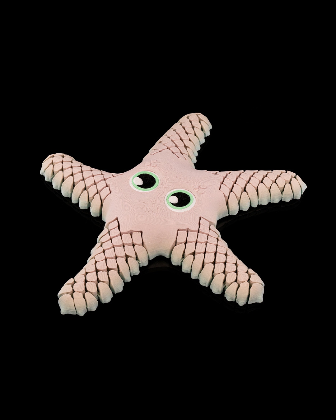 Sandy, the Sea Star - Image 4