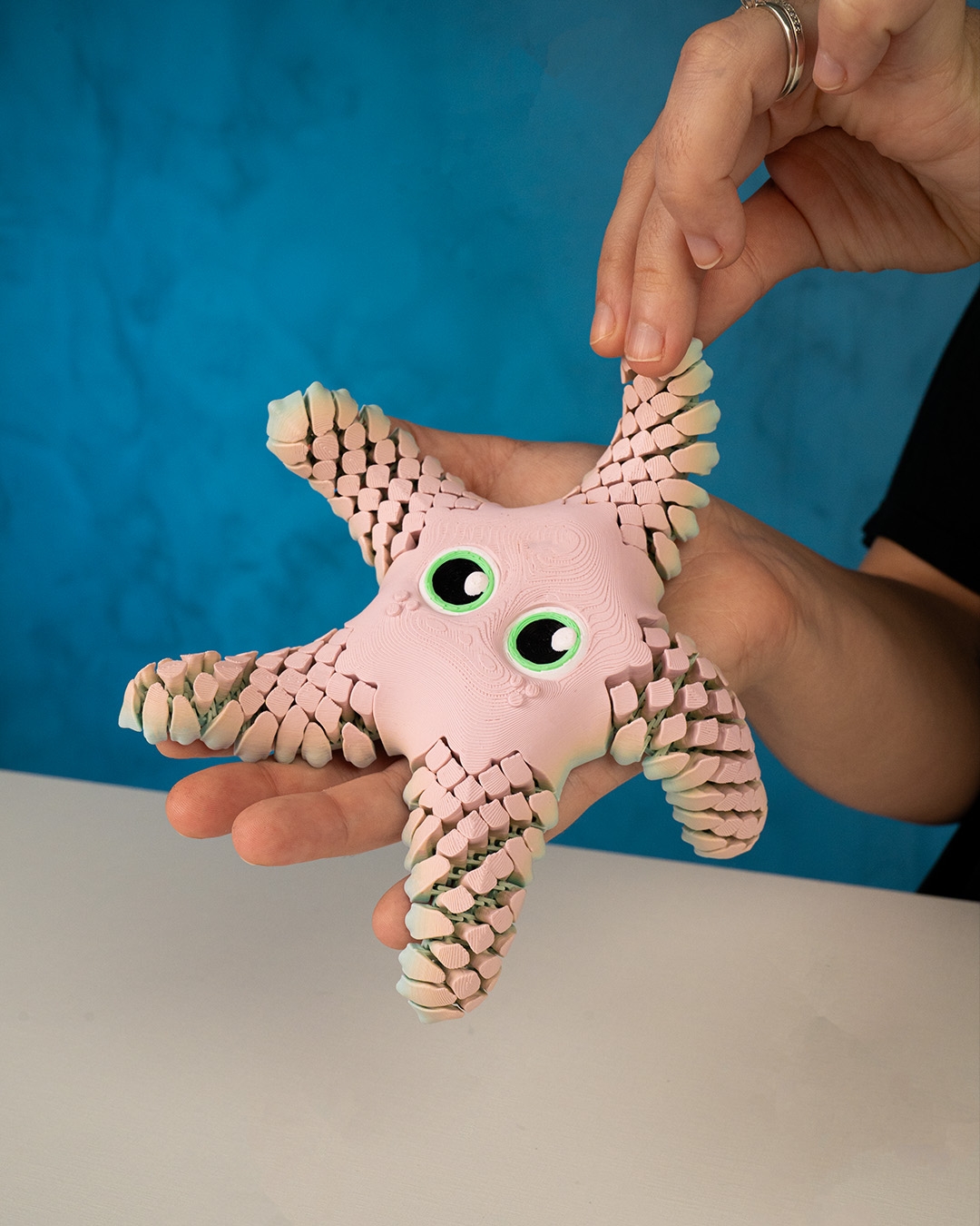 Sandy, the Sea Star - Image 3