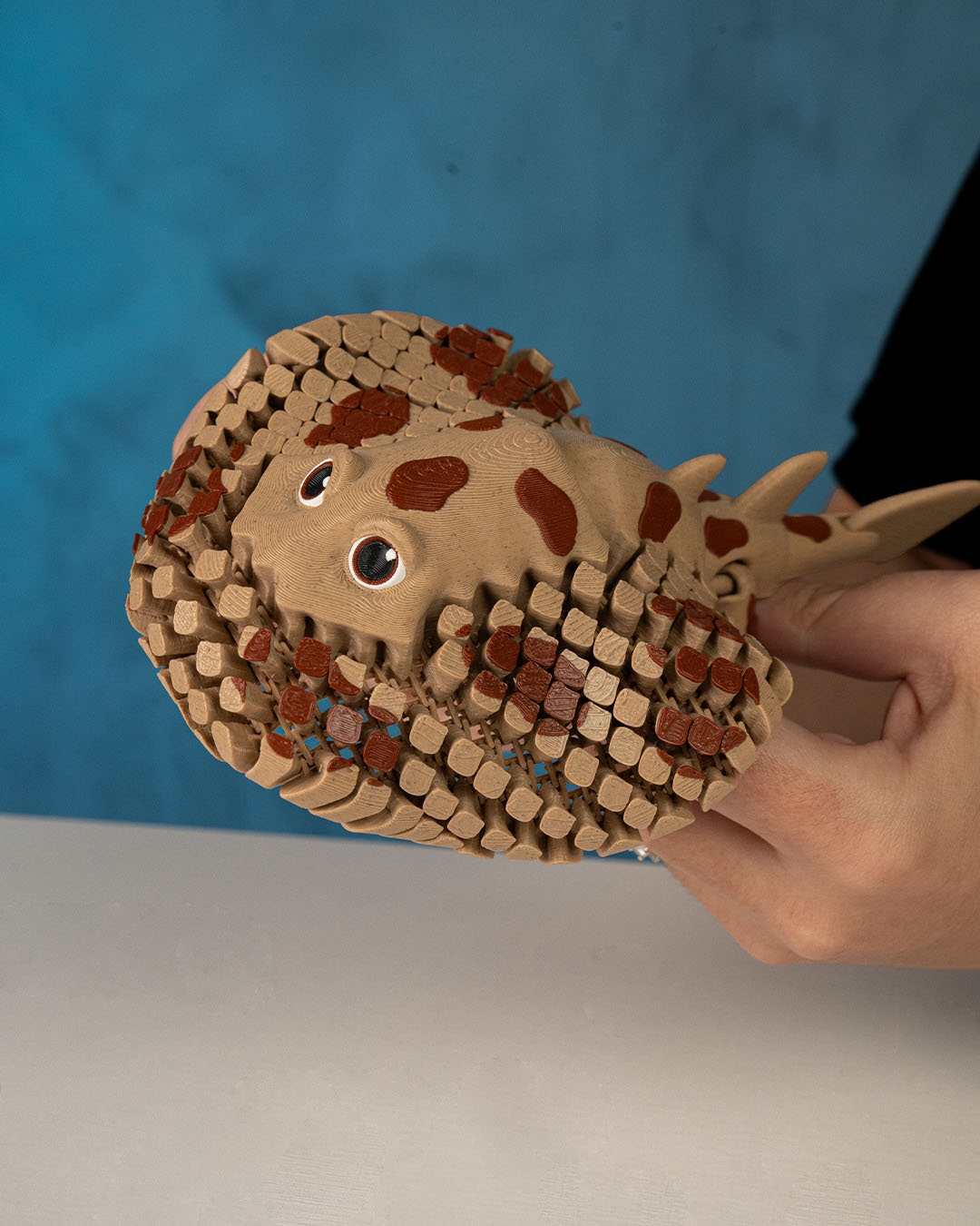 Lexi, the Electric Ray - Image 2