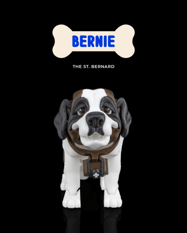 Barry, the St. Bernard