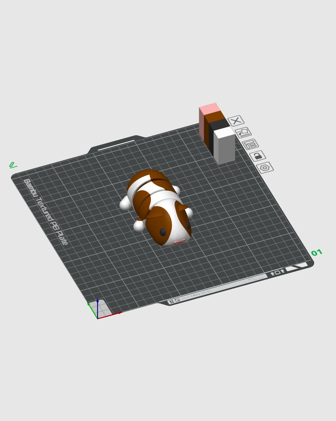 Guinea Pig - Image 12