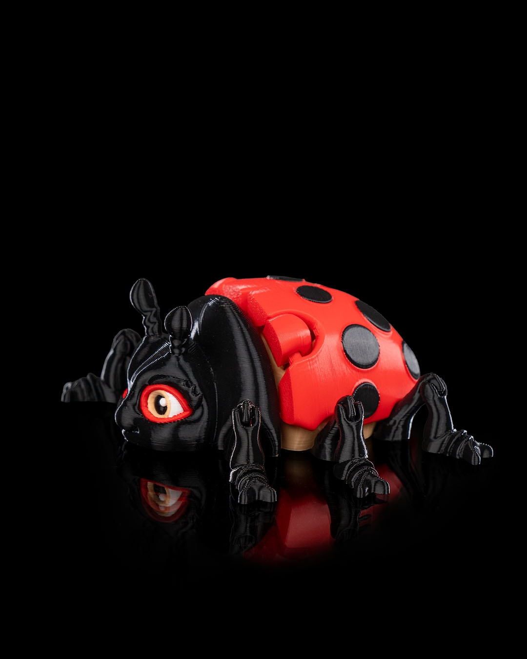 Lilly the Ladybug - Image 3
