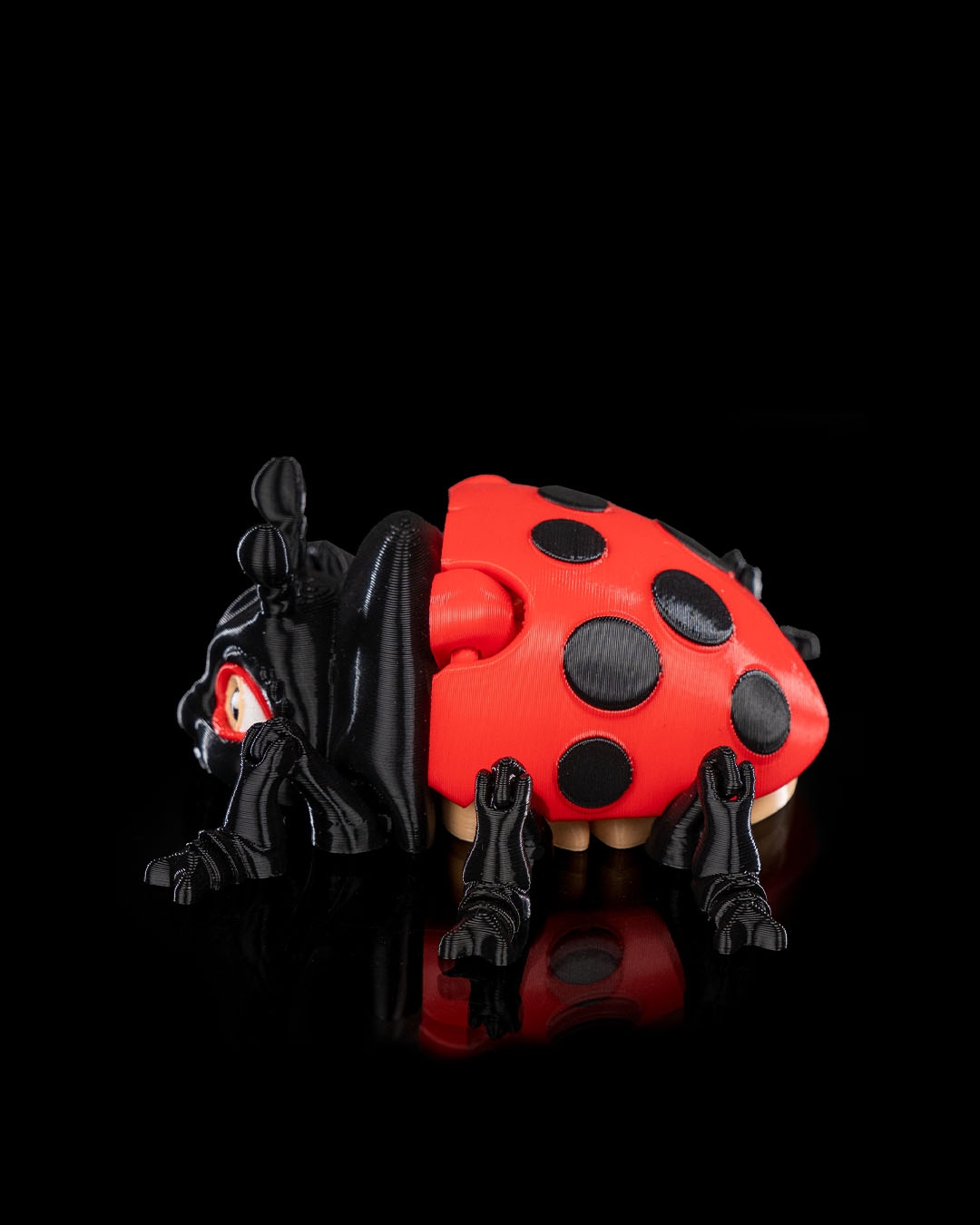 Lilly the Ladybug - Image 4