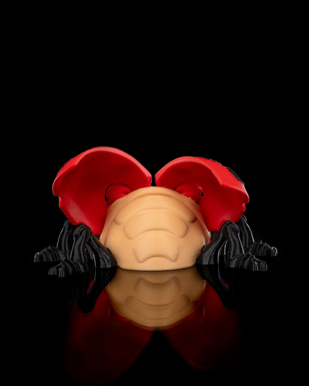 Lilly the Ladybug - Image 6