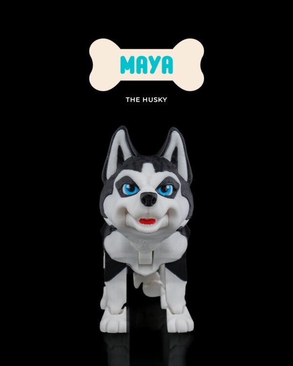 Maya, the Husky