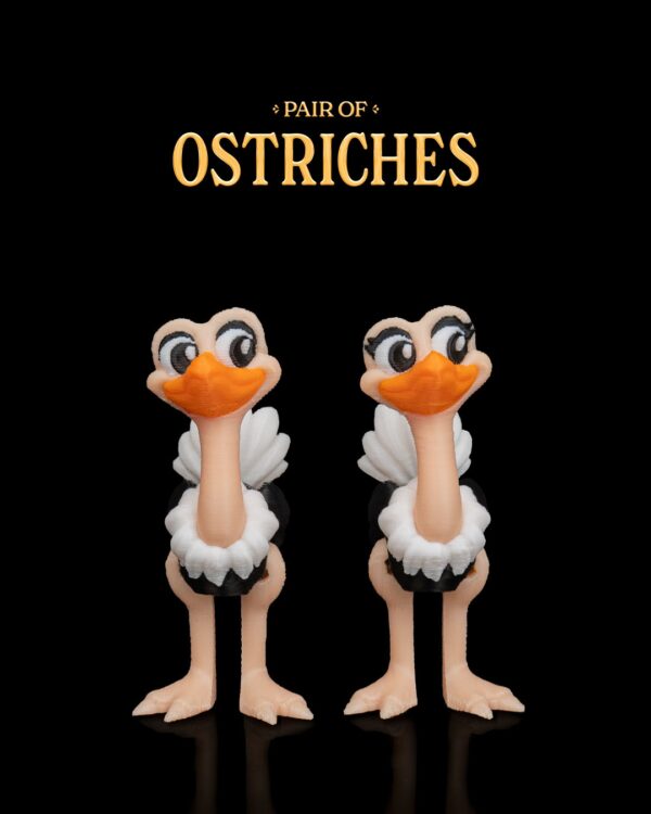 Pair of Ostriches