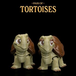 Pair of Tortoises