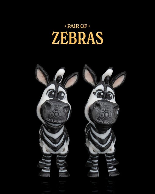 Pair of Zebras