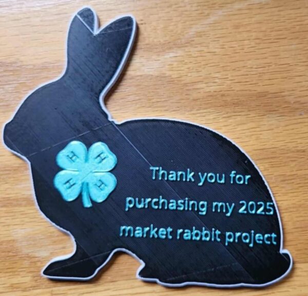 Rabbit