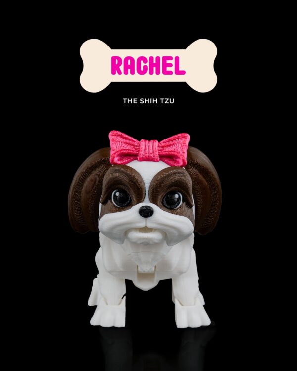 Rachel, the Shih Tzu