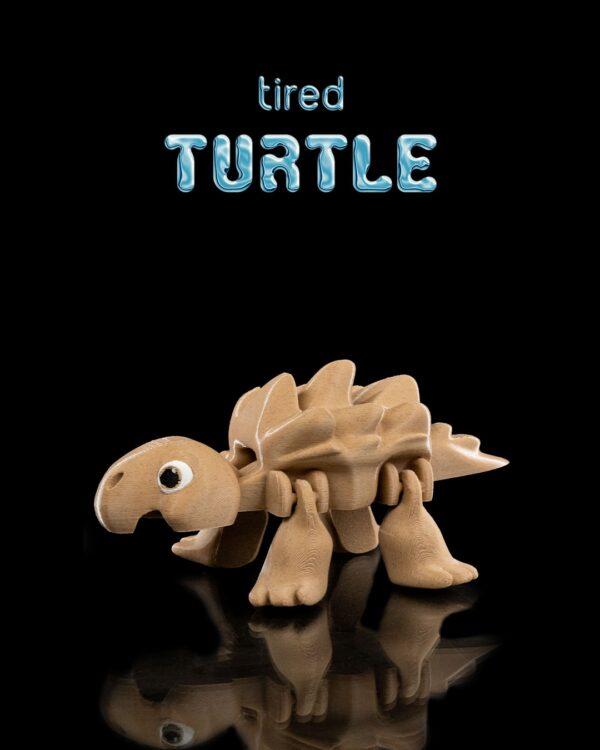 Tired Turtle