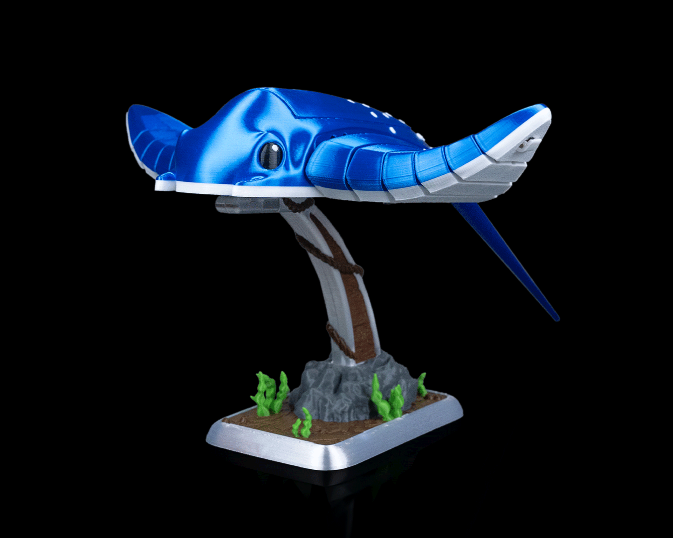 Ray Glide - Image 11