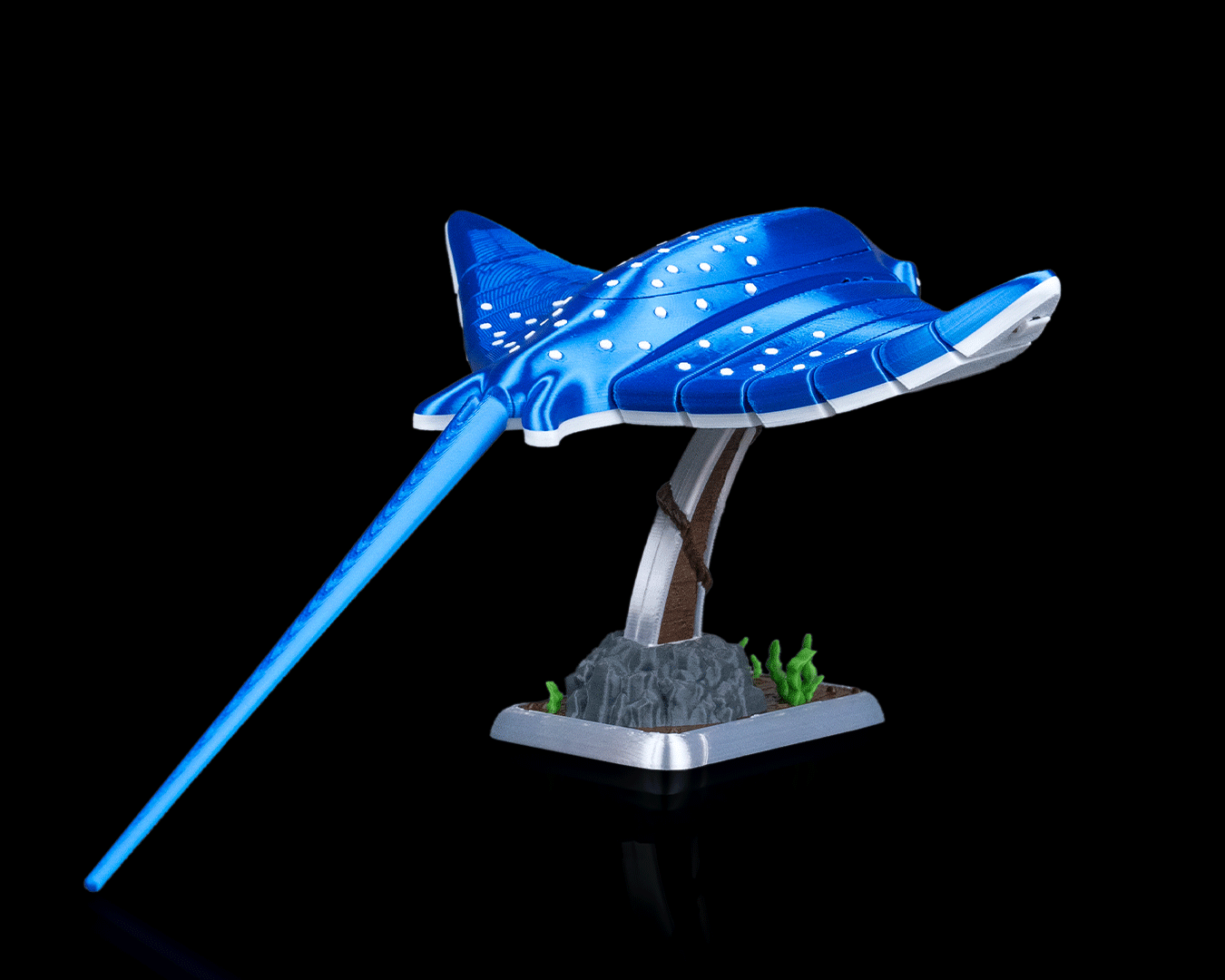 Ray Glide - Image 12