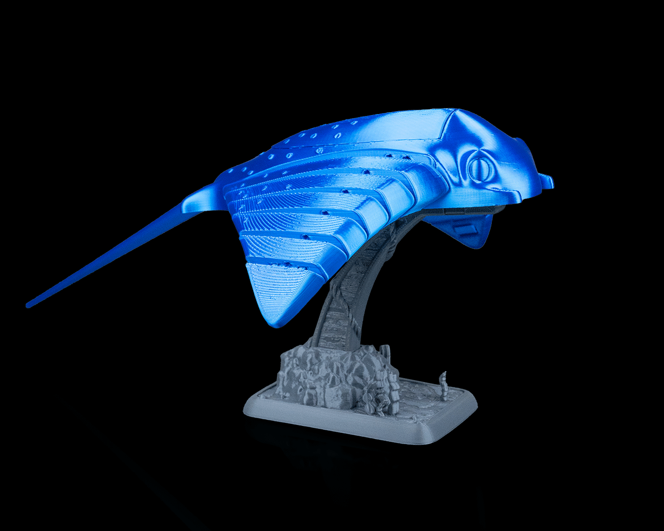 Ray Glide - Image 13