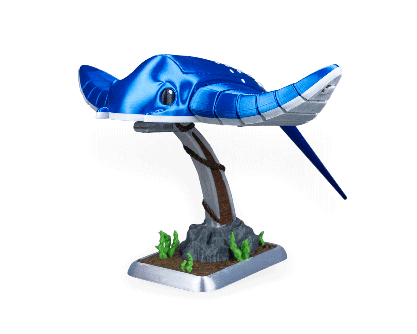 Ray Glide - Image 23