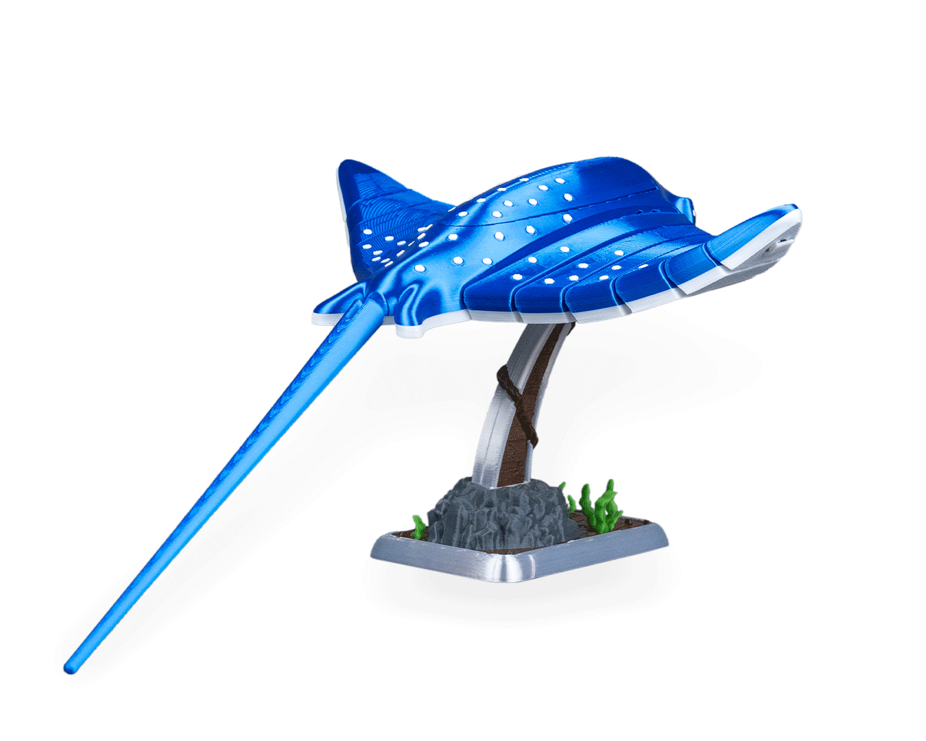 Ray Glide - Image 24