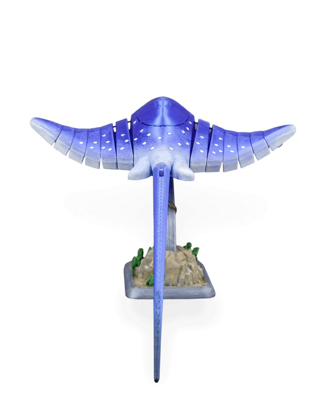 Ray Glide - Image 19