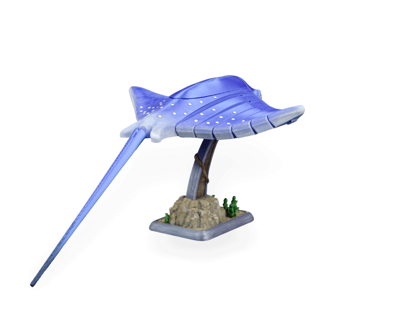 Ray Glide - Image 20